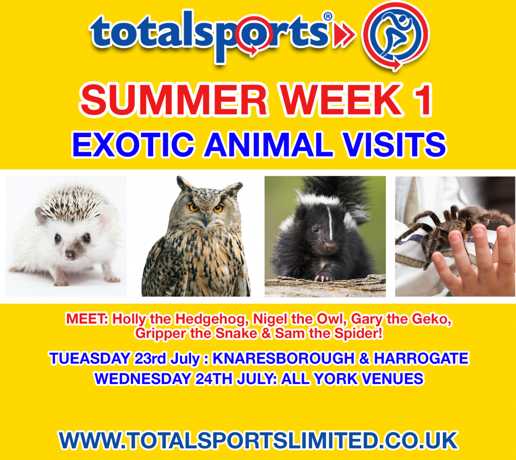 SUMMER ANIMALS ADD