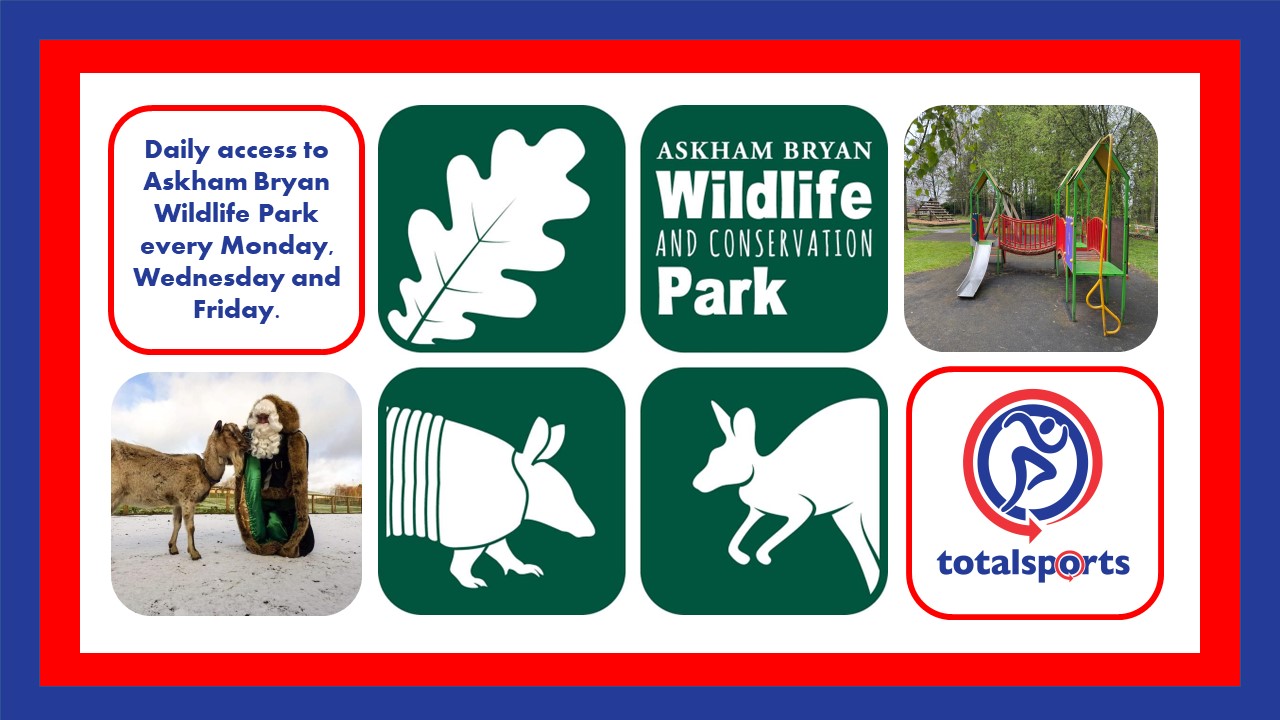 Wildlife Partnership